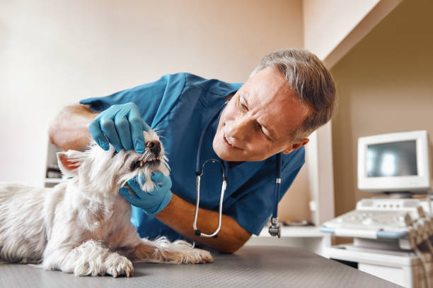 Best Same-Day Emergency Dentist in Sharon, PA
